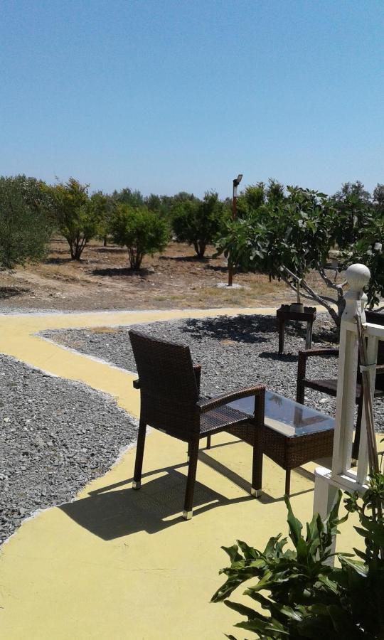 Mersinera Paradise Garden Stars House Ларнака Екстериор снимка