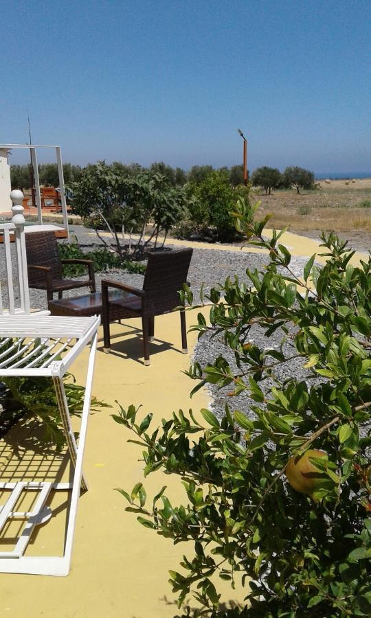 Mersinera Paradise Garden Stars House Ларнака Екстериор снимка