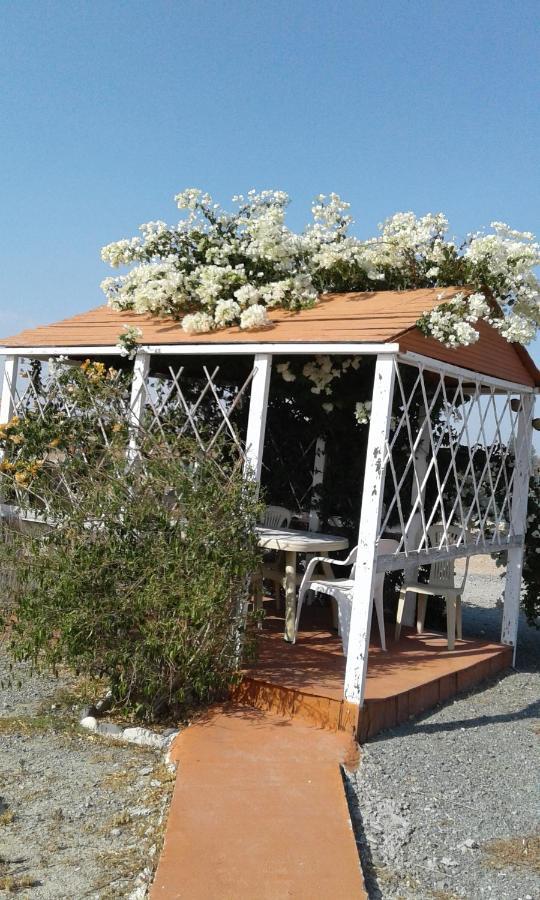 Mersinera Paradise Garden Stars House Ларнака Екстериор снимка